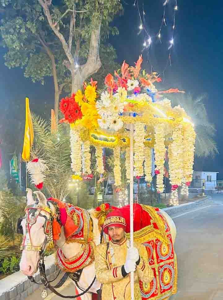 Flowers Umbrellas Light