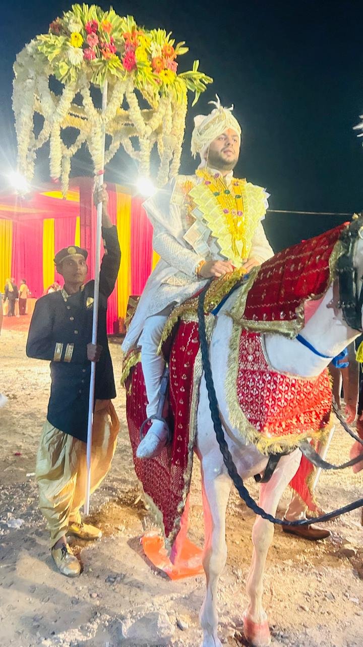 Flowers Umbrellas Light