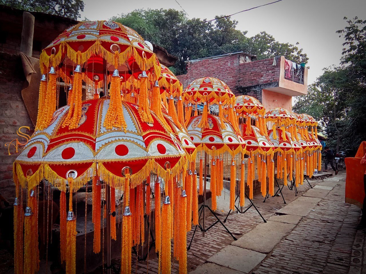 Flowers Umbrellas Light
